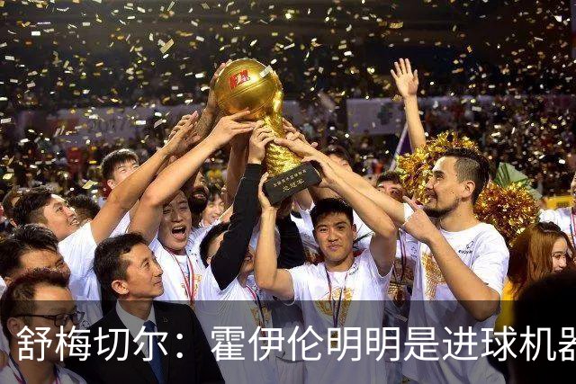 舒梅切尔：霍伊伦明明是进球机器，维韦尔来了偏要换成谢什科