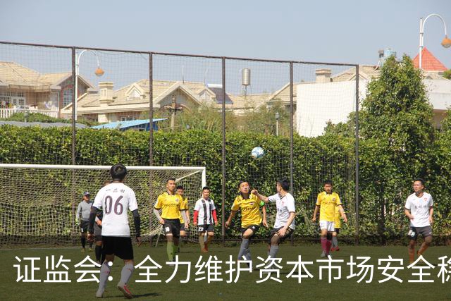 证监会：全力维护资本市场安全稳定