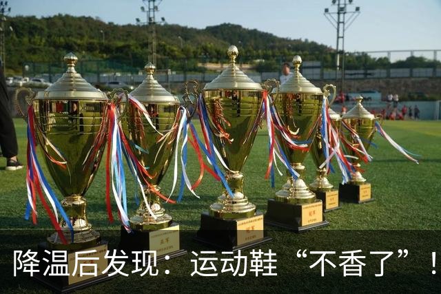 降温后发现：运动鞋“不香了”！今年更火的“丑丑鞋”，保暖高级