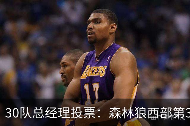30队总经理投票：森林狼西部第3，却又被选为最难预测